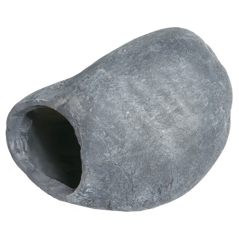 Superfish Fish Cave 1